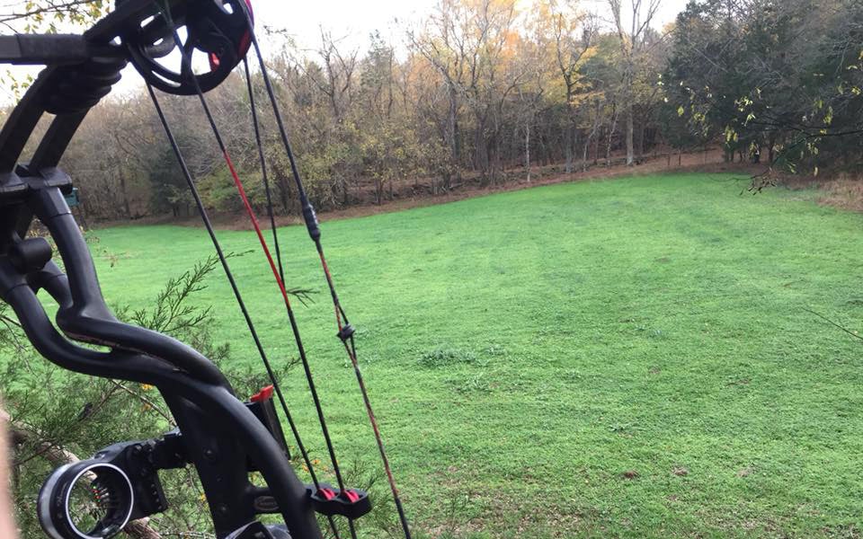 bow hunting over green field